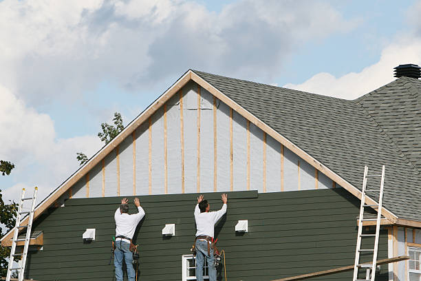 Best Fascia and Soffit Installation  in Mount Pulaski, IL