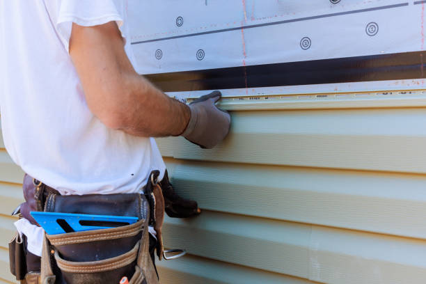 Best Steel Siding Installation  in Mount Pulaski, IL